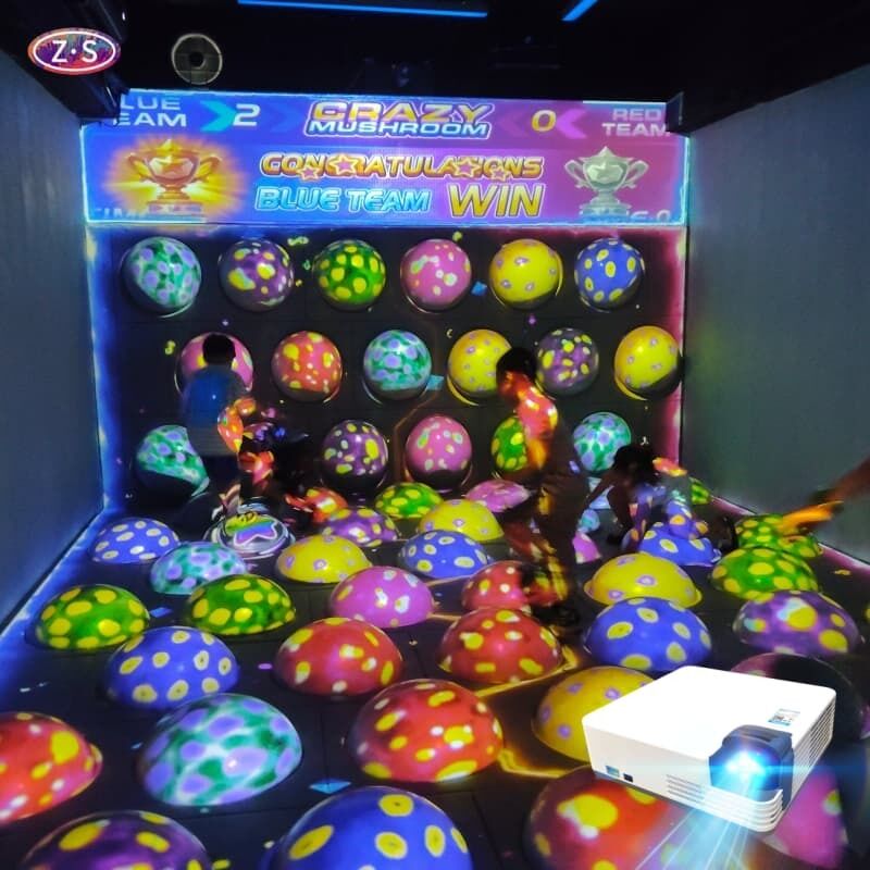 Turnkey Solution Immersive Interactive Sphere Jumping Remote Management System